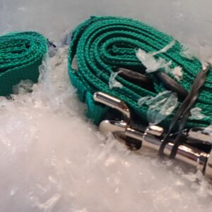 Replacement Guide Straps (reins)
